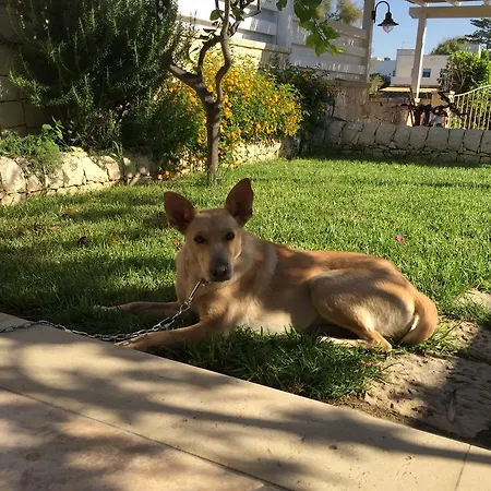 Casa Mia Donnalucata (Sicily)